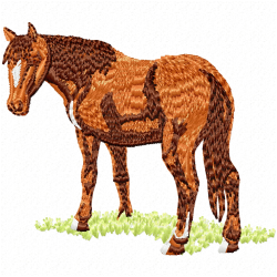 Horses Embroidery Design 1